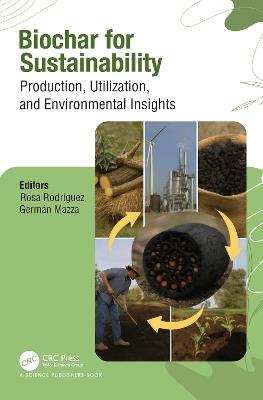 Biochar for Sustainability: Production, Utilization, and Environmental Insights - cover