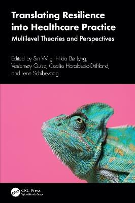 Translating Resilience into Healthcare Practice: Multilevel Theories and Perspectives - cover