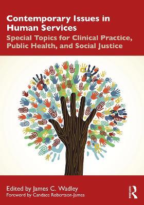 Contemporary Issues in Human Services: Special Topics for Clinical Practice, Public Health, and Social Justice - cover