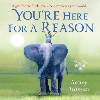 You're Here for a Reason - Nancy Tillman - cover