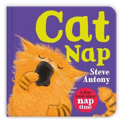 Cat Nap: A First Book About Naptime - Steve Antony - cover