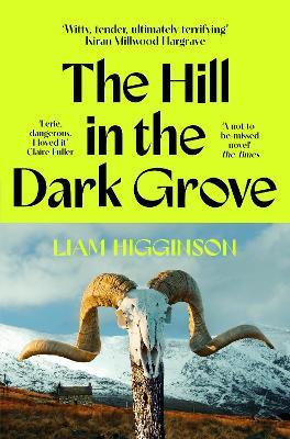The Hill in the Dark Grove - Liam Higginson - cover