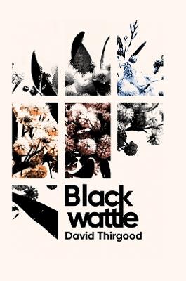 Blackwattle - David Thirgood - cover