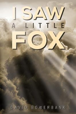 I Saw a Little Fox - David Bowerbank - cover