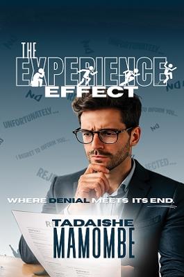 The Experience Effect - Tadaishe Mamombe - cover