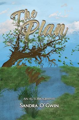 The Plan - Sandra O'Gwin - cover