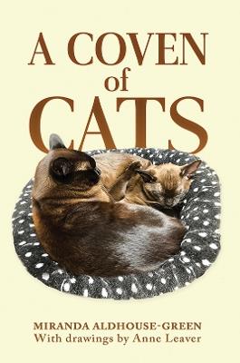 A Coven of Cats - Miranda Aldhouse-Green - cover