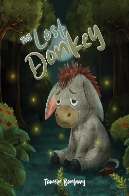 The Lost Donkey - Tamsin Banbury - cover