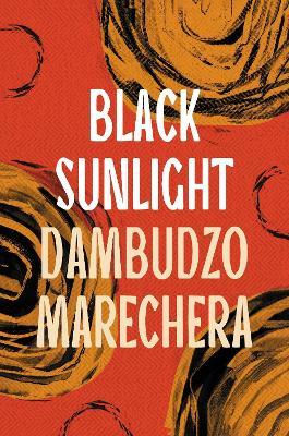 Black Sunlight - Dambudzo Marechera - cover