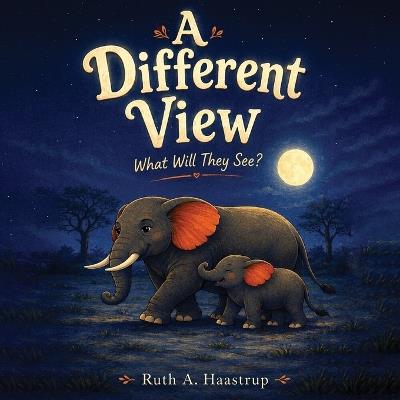A different View What Will They See? - Ruth A Haastrup - cover