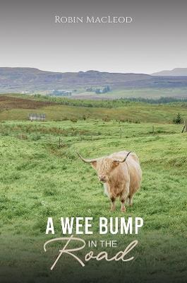 A Wee Bump in the Road - Robin MacLeod - cover