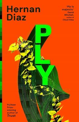 Ply - Hernan Diaz - cover