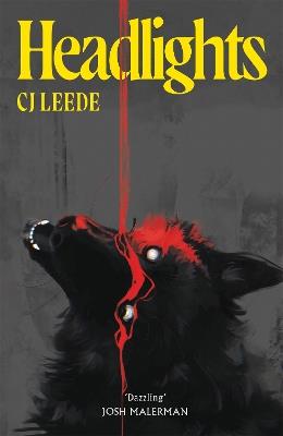 Headlights - CJ Leede - cover