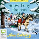 Snow Pony Express