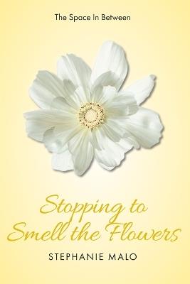 The Space In Between - Stephanie Malo - cover