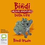 Bushfire
