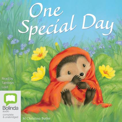 One Special Day
