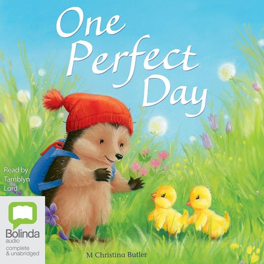 One Perfect Day