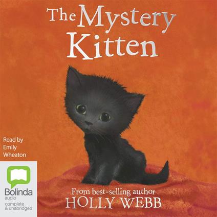 The Mystery Kitten