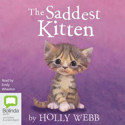 The Saddest Kitten