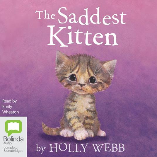 The Saddest Kitten