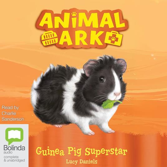 Guinea Pig Superstar