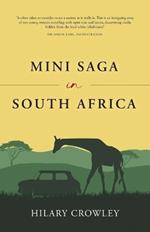 Mini Saga in South Africa