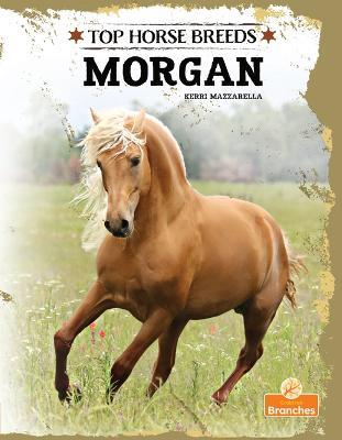 Morgan - Kerri Mazzarella - cover