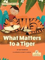 What Matters to a Tiger