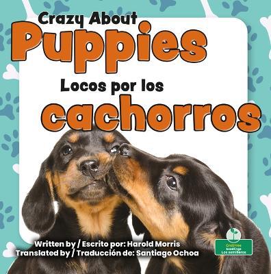 Locos Por Los Cachorros (Crazy about Puppies) Bilingual Eng/Spa - Harold Morris - cover