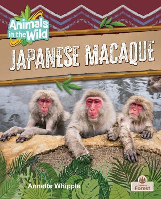 Japanese Macaque - Annette Whipple - cover
