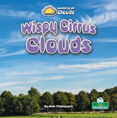 Wispy Cirrus Clouds - Kim Thompson - cover