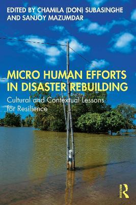 Micro Human Efforts in Disaster Rebuilding: Cultural and Contextual Lessons for Resilience - cover