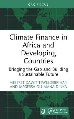 Climate Finance in Africa and Developing Countries: Bridging the Gap and Building a Sustainable Future - Meseret Dawit Teweldebrihan,Megersa Olumana Dinka - cover