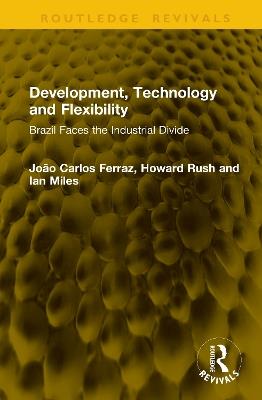 Development, Technology and Flexibility: Brazil Faces the Industrial Divide - João Carlos Ferraz,Howard Rush,Ian Miles - cover