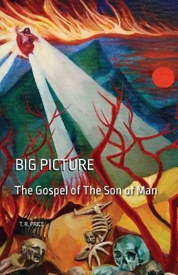 Big Picture: The Gospel of The Son of Man - T R Price - cover