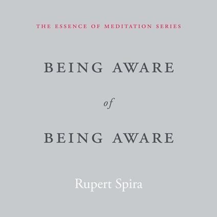 Being Aware of Being Aware