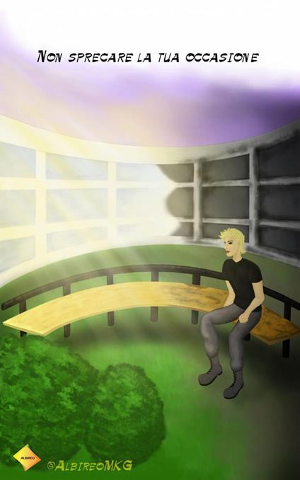 Non sprecare la tua occasione - Albireo Svyatoslav - ebook