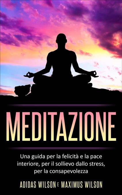 Meditazione - Adidas Wilson - ebook
