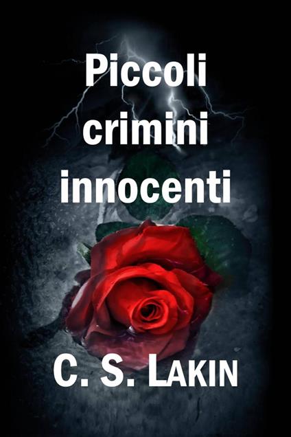 Piccoli crimini innocenti - C. S. Lakin - ebook