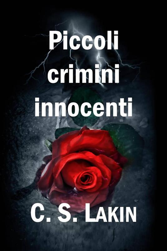 Piccoli crimini innocenti - C. S. Lakin - ebook