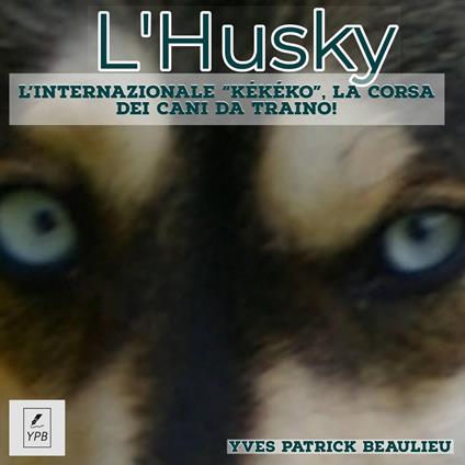 L'Husky - Yves Patrick Beaulieu - ebook