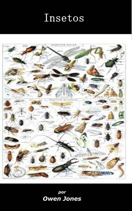 Insetos