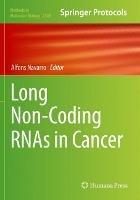 Long Non-Coding RNAs in Cancer - cover