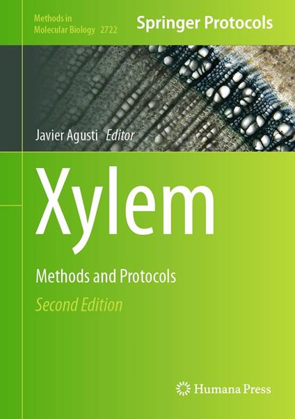 Xylem