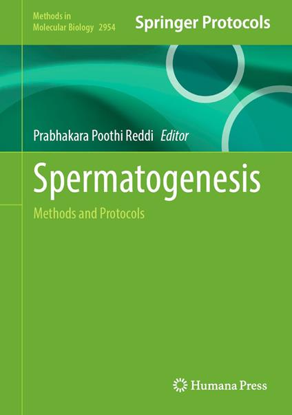 Spermatogenesis