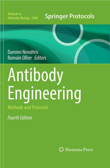 Antibody Engineering
