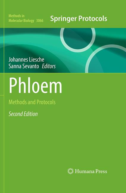 Phloem