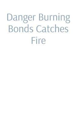 Danger Burning Bonds Catches Fire: Perpetual Commercial Reparations (A Not Ready for Prime Time Economic Theory.) - Bryan R Cook - cover