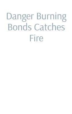 Danger Burning Bonds Catches Fire: Perpetual Commercial Reparations (A Not Ready for Prime Time Economic Theory.) - Bryan R Cook - cover
